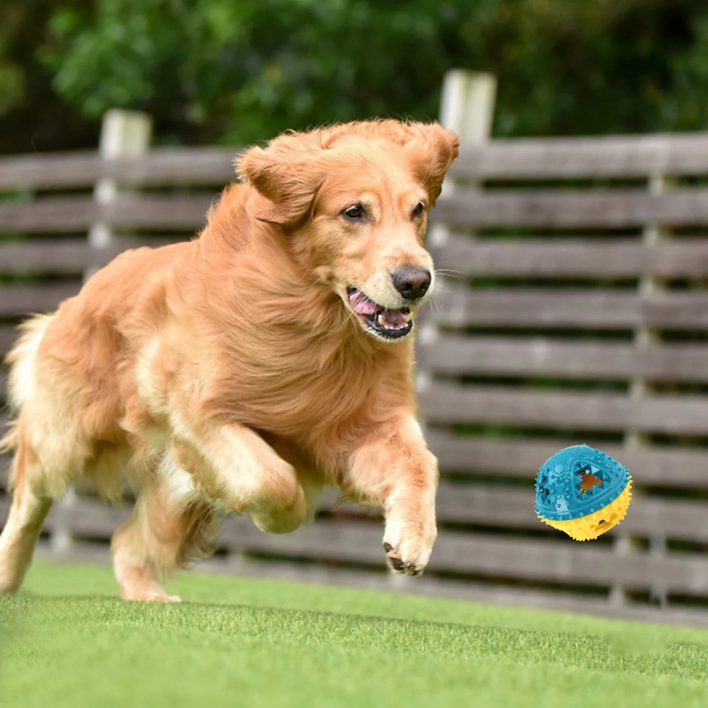 Albpaws – Robuster Kau- und Spielball